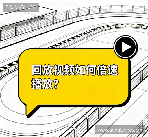 解答指南